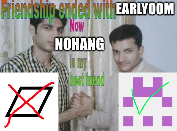 friendship ended with earlyoom, now nohang is my best friend
